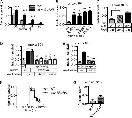 Figure 2.—