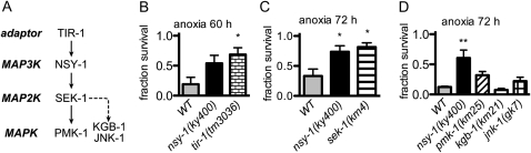 Figure 3.—