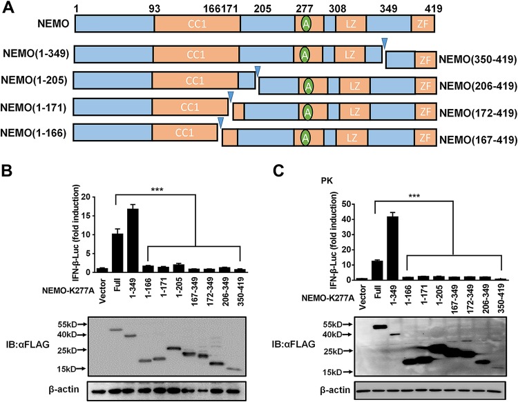 FIG 6