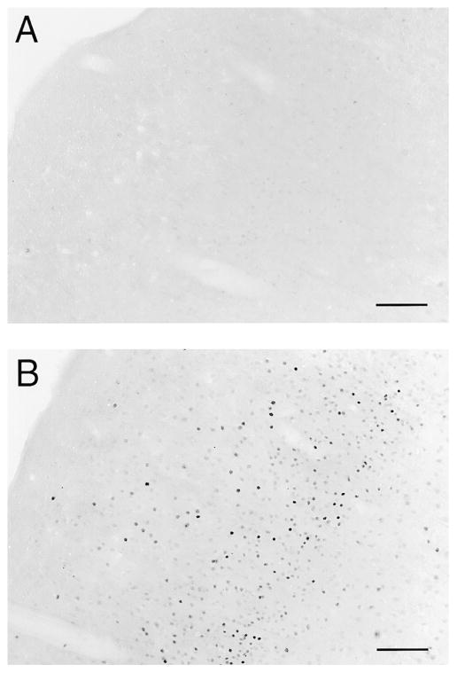 FIG. 7