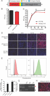 FIG 1