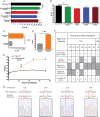 FIG 6