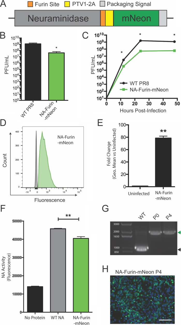 FIG 2 