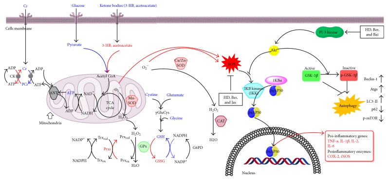 Figure 11