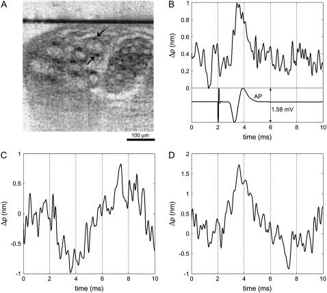 FIGURE 4