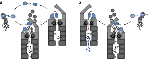 Figure 8