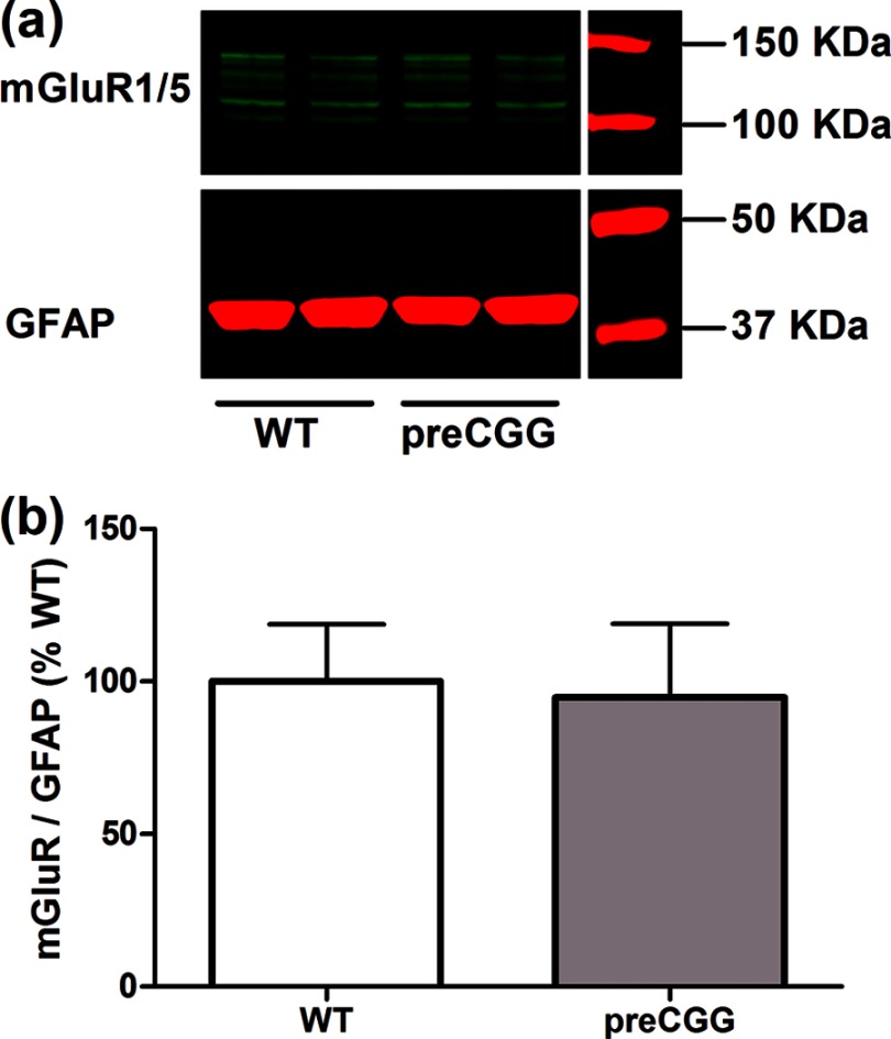 FIGURE 12.