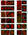 Extended Data Fig. 2