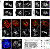 Extended Data Fig. 3