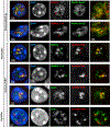 Extended Data Fig. 5