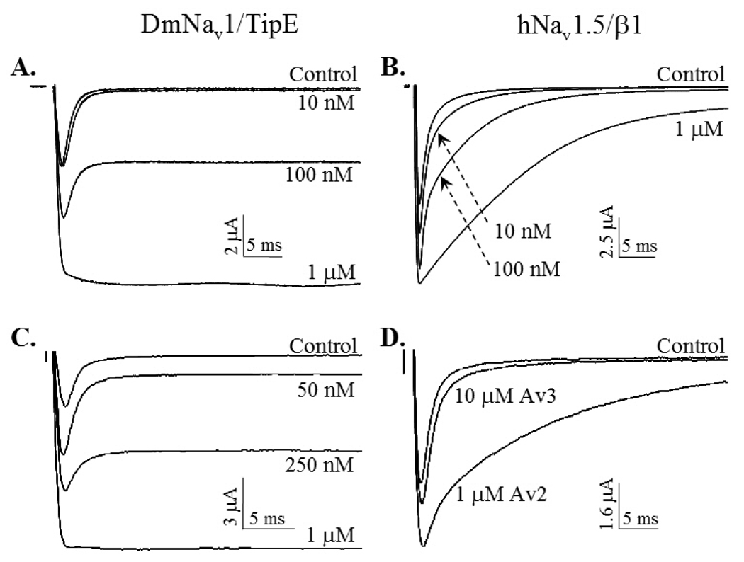 Fig. 6