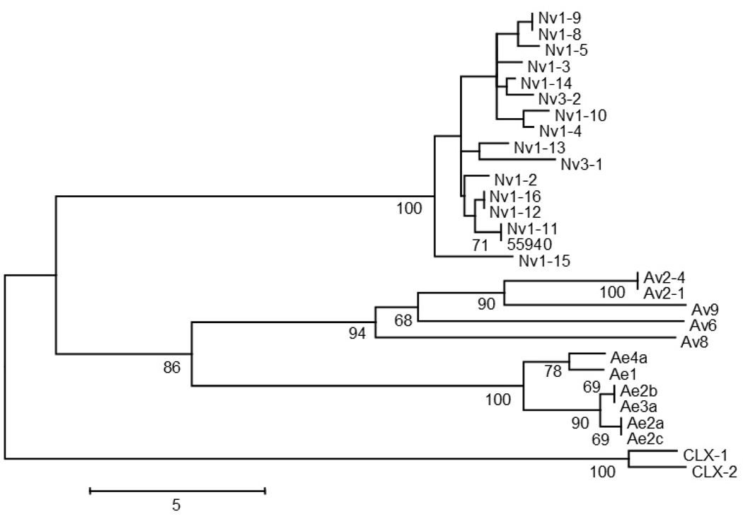 Fig. 5