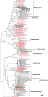 Figure 3—figure supplement 2.