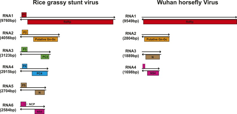 Figure 10.