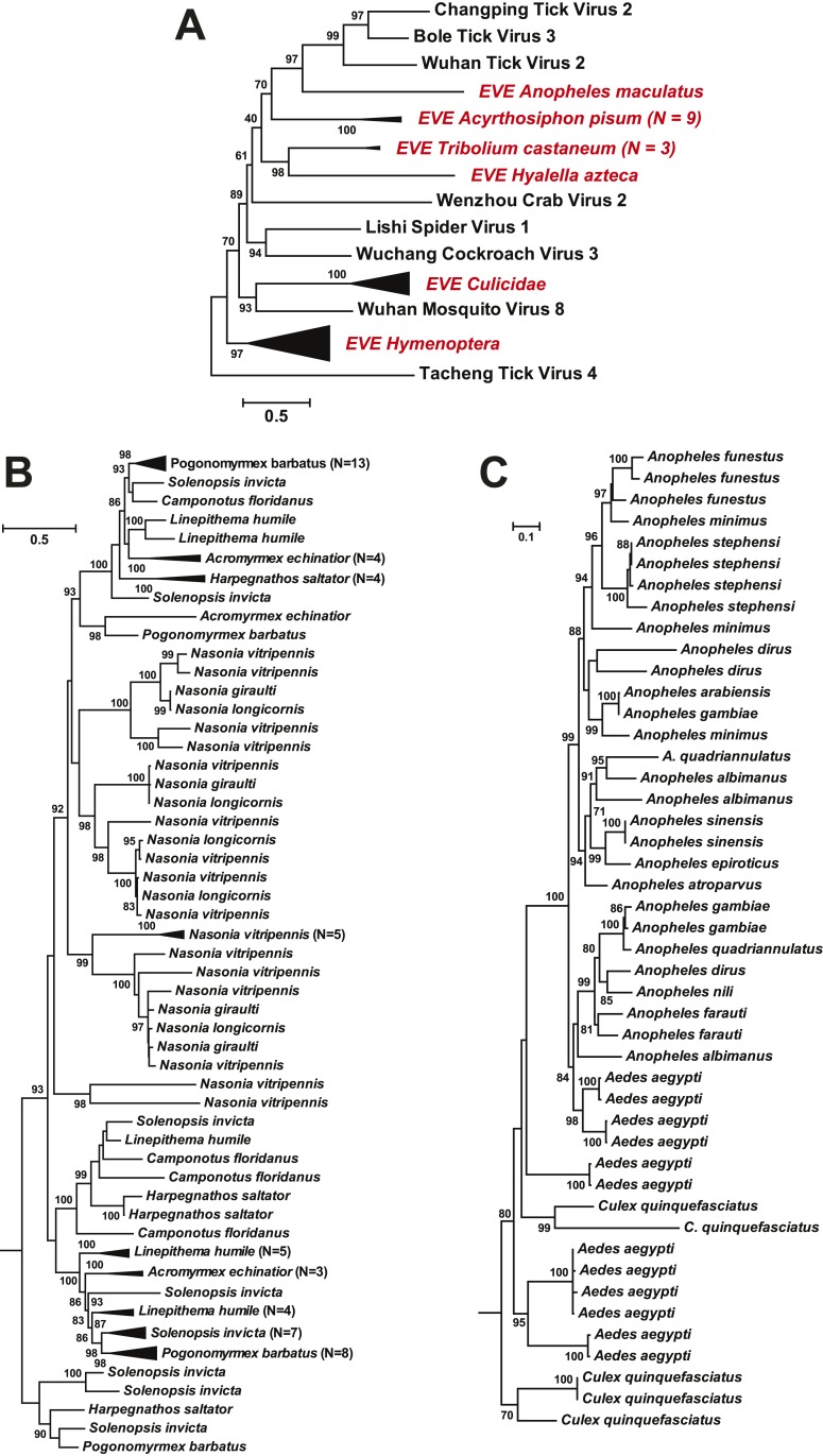 Figure 11.