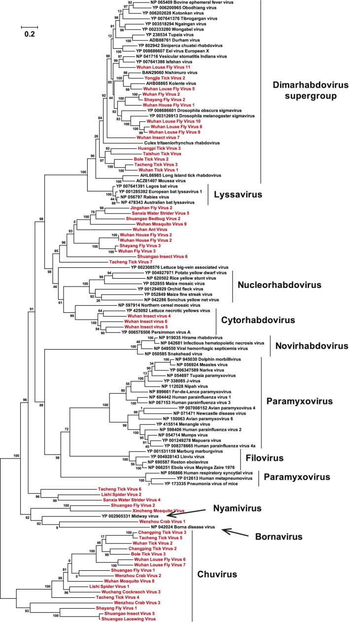 Figure 3—figure supplement 3.