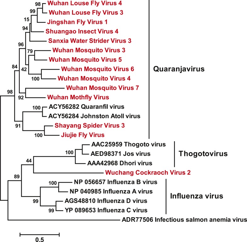 Figure 3—figure supplement 1.