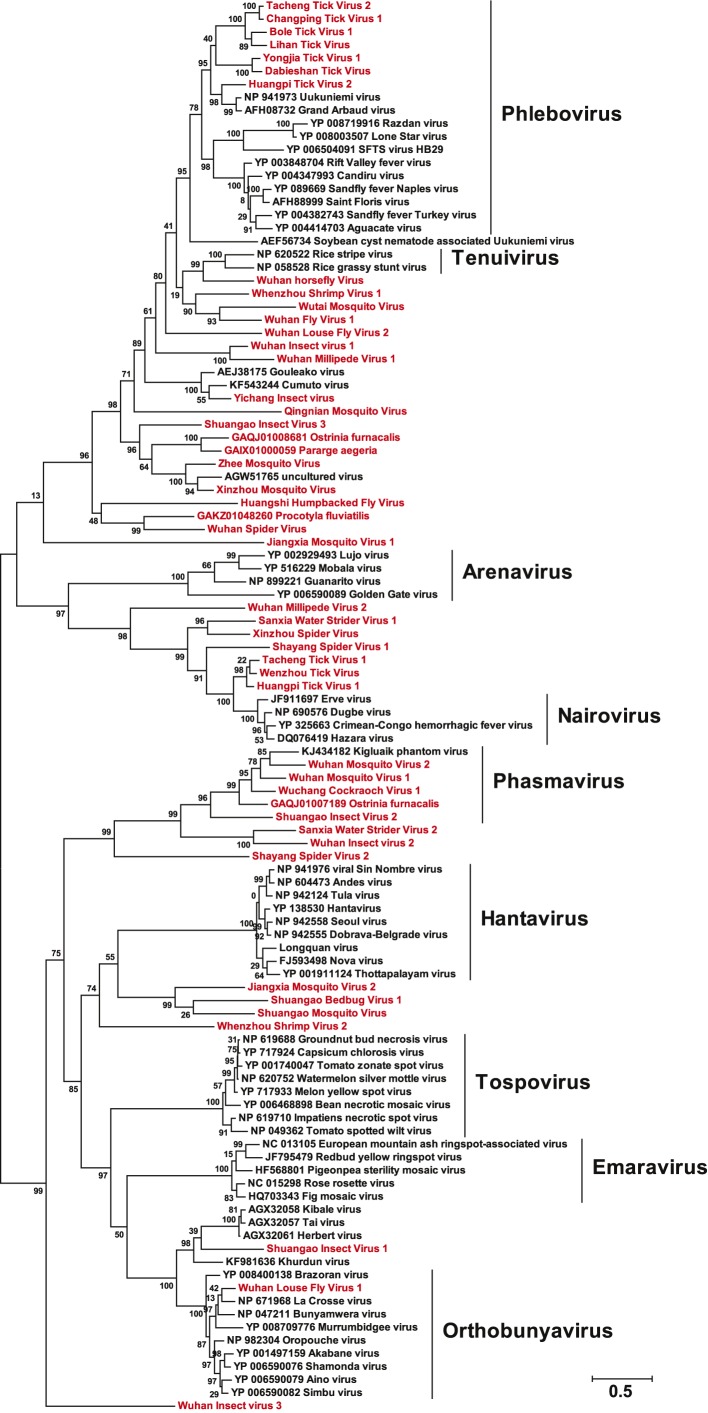 Figure 3—figure supplement 2.