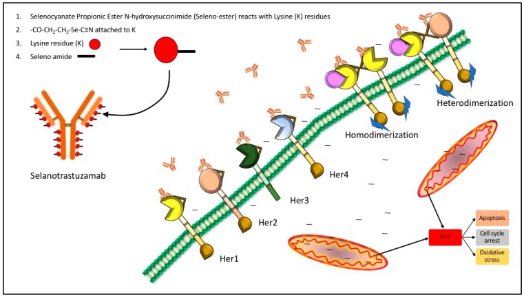 Figure 15