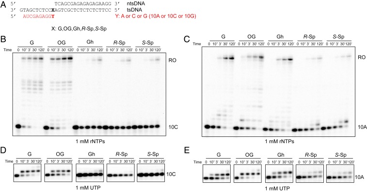 Fig. 4.