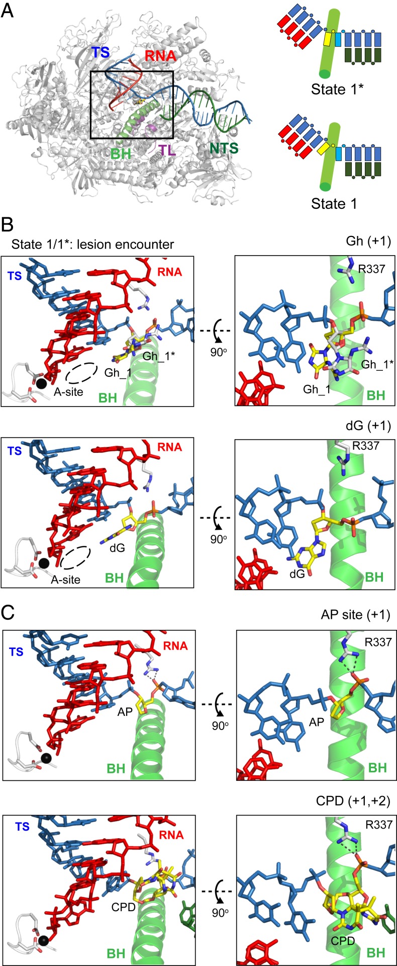 Fig. 6.