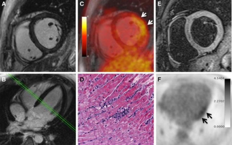 Fig. 6