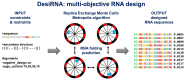 Graphical Abstract