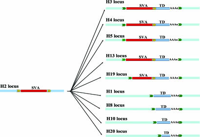 Fig. 3.