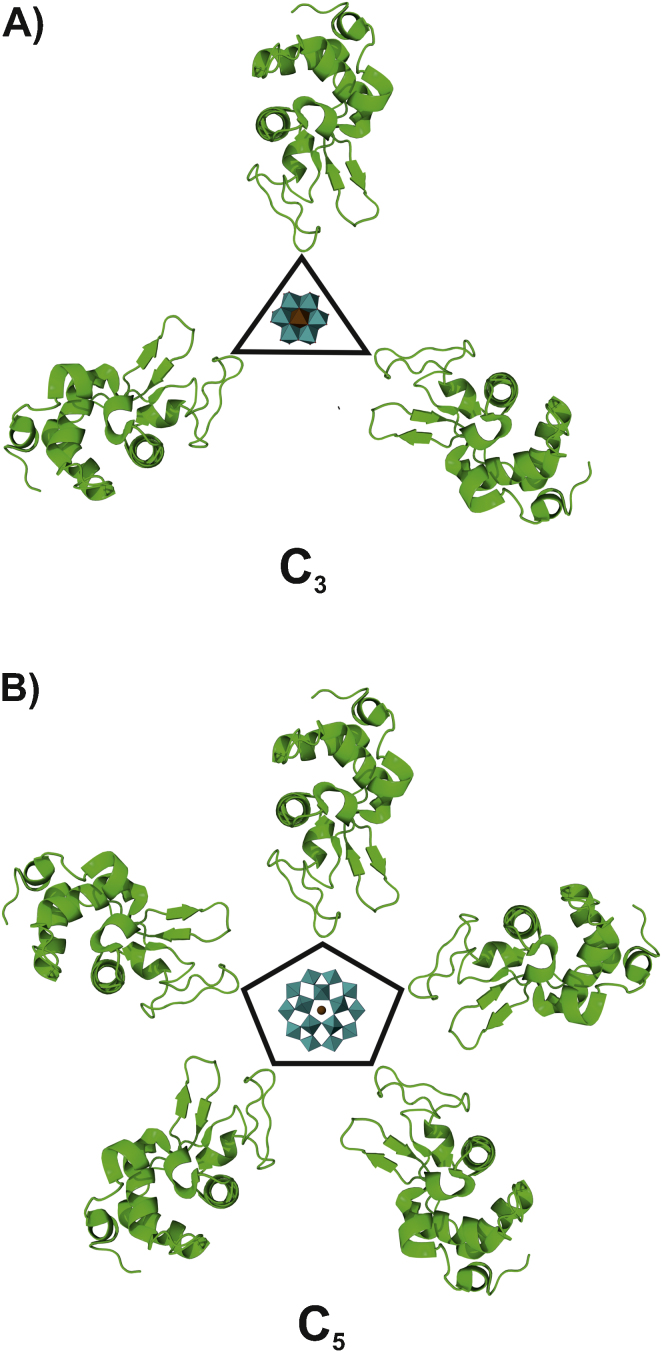 Fig. 9