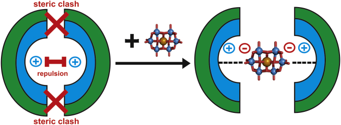 Fig. 10