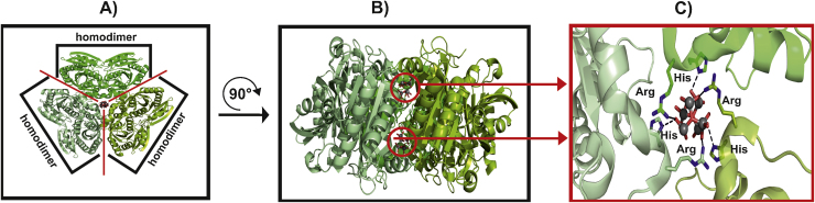 Fig. 13