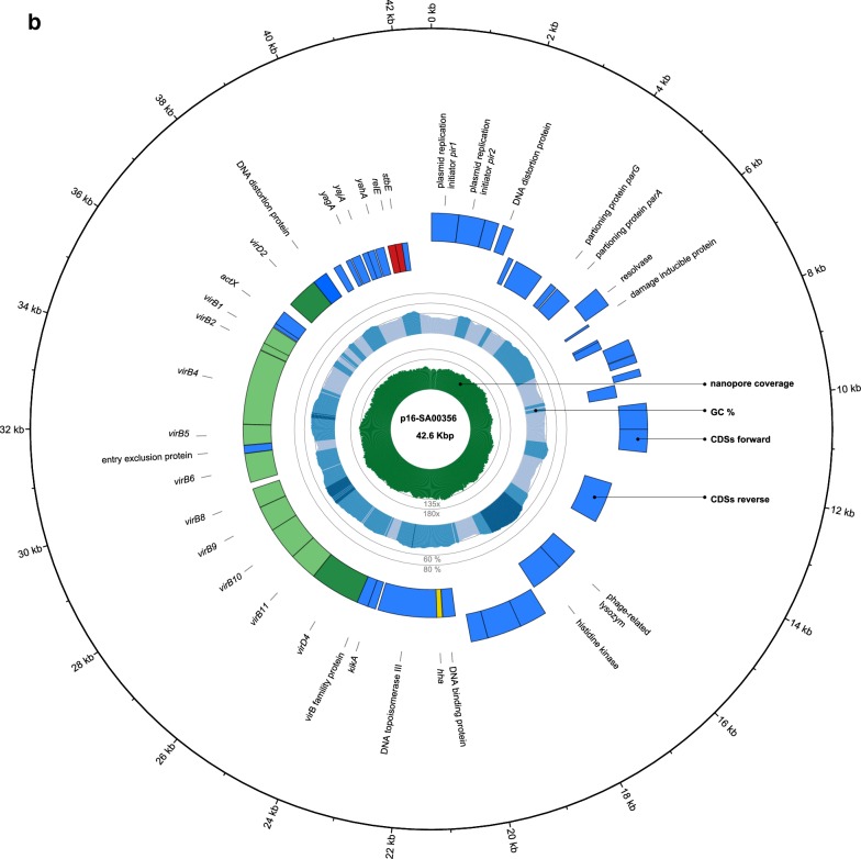 Fig. 1