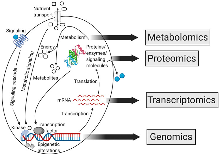 Figure 2