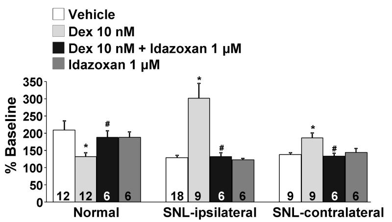 graphic file with name nihms-198580-f0003.jpg