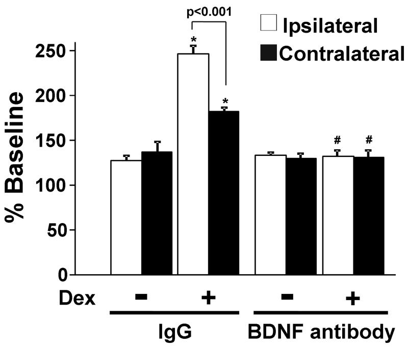 graphic file with name nihms-198580-f0006.jpg