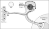 Fig 5