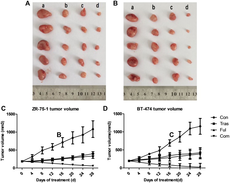 Fig 8