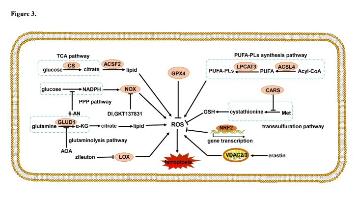 Figure 3.