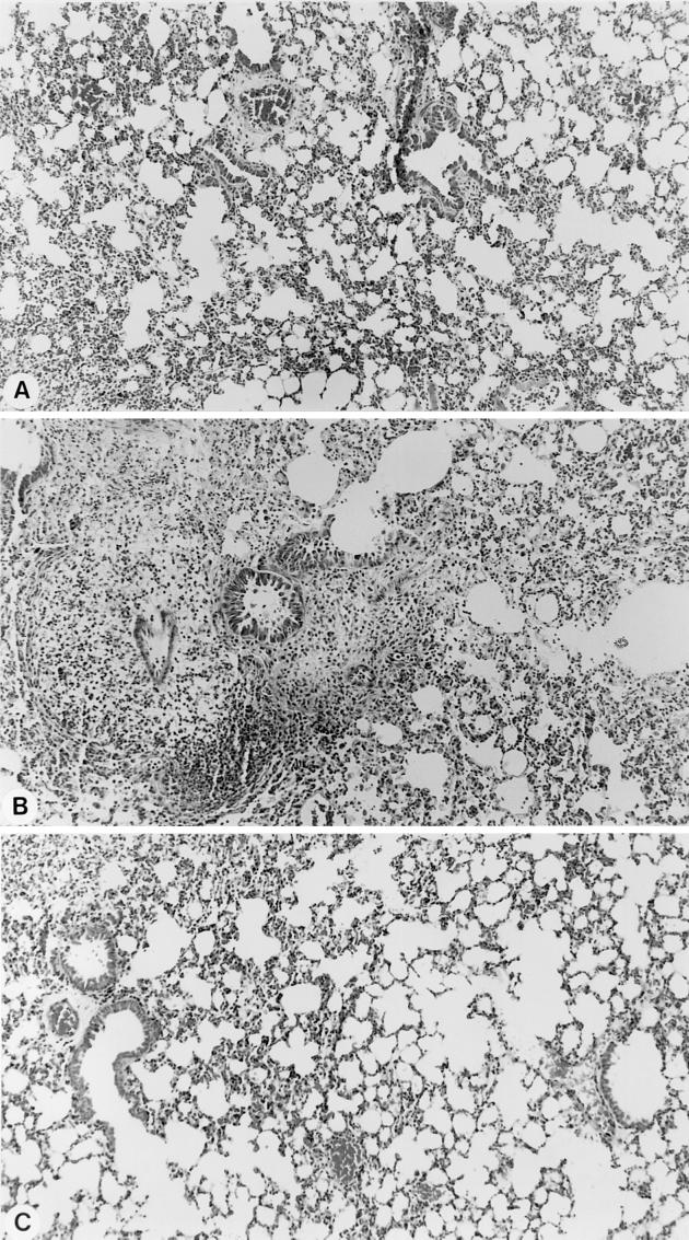 FIG. 7