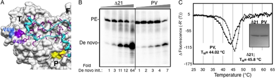 FIG. 6.