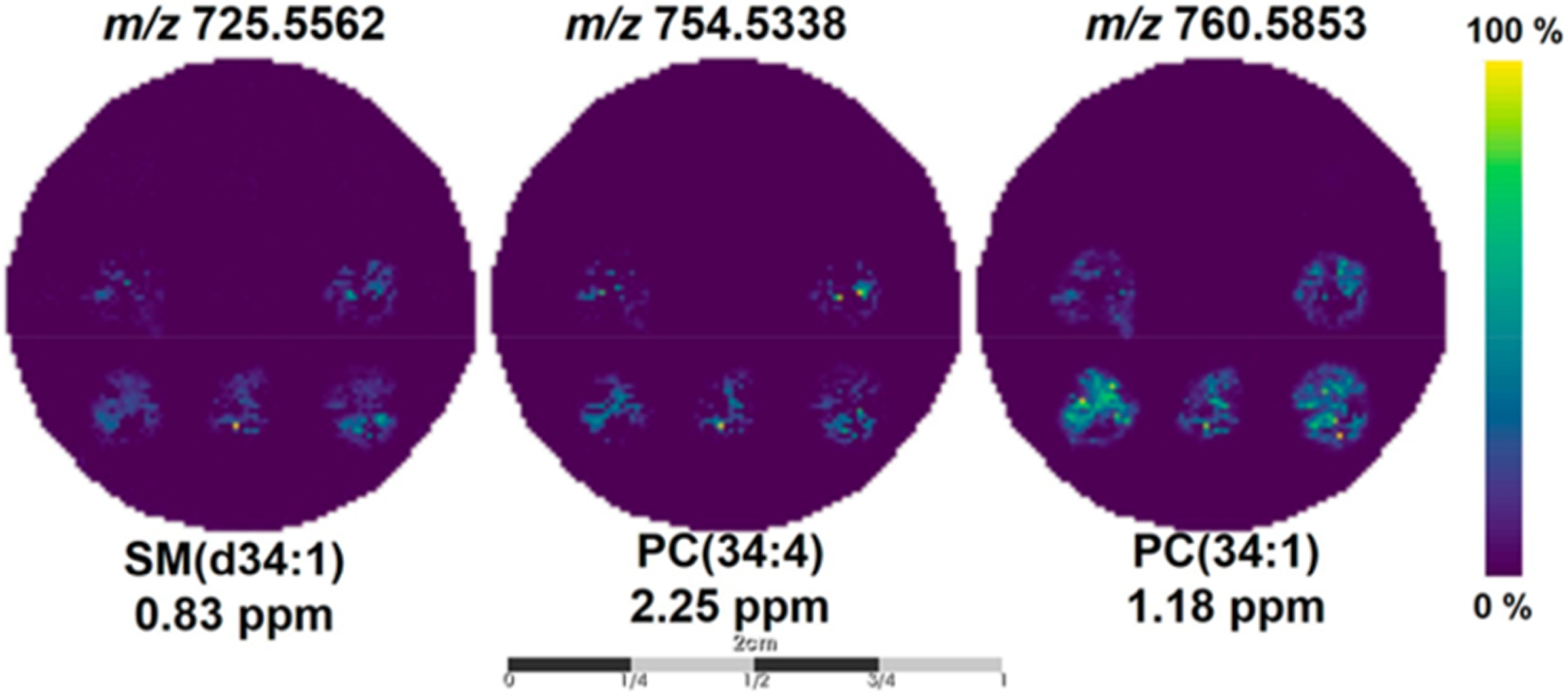 Figure 5.