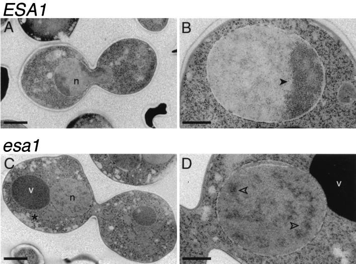 FIG. 8