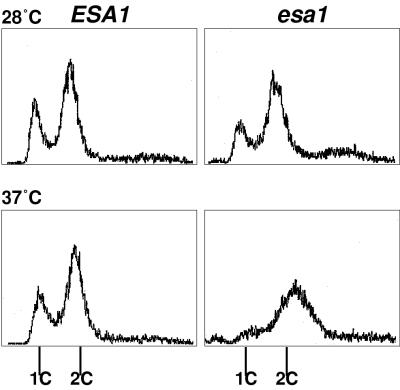 FIG. 5