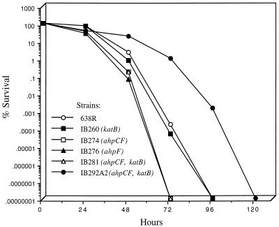 FIG. 6