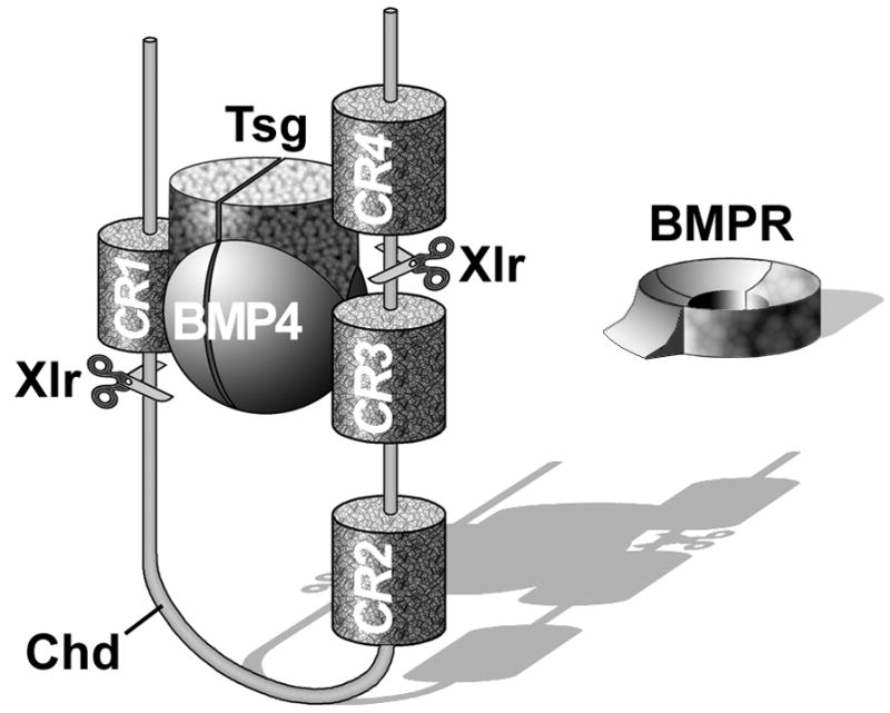 Fig. 10