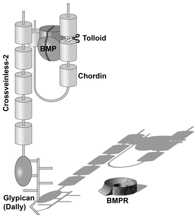 Fig. 11