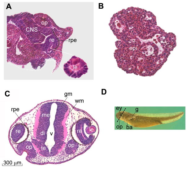 Fig. 6