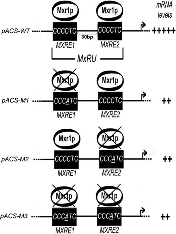 FIGURE 6.