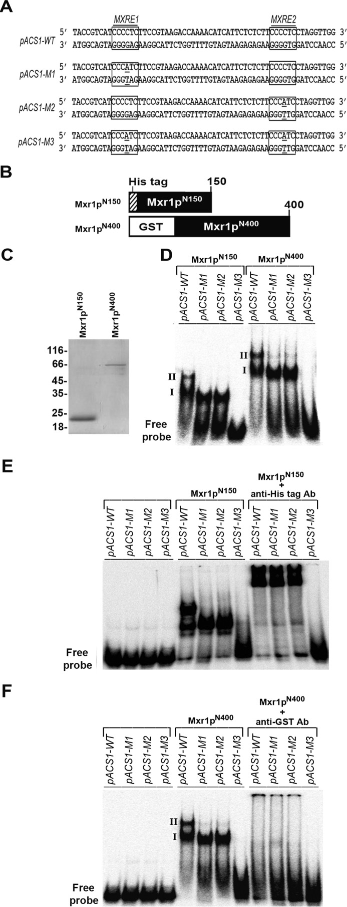 FIGURE 5.