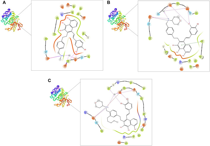 FIGURE 4